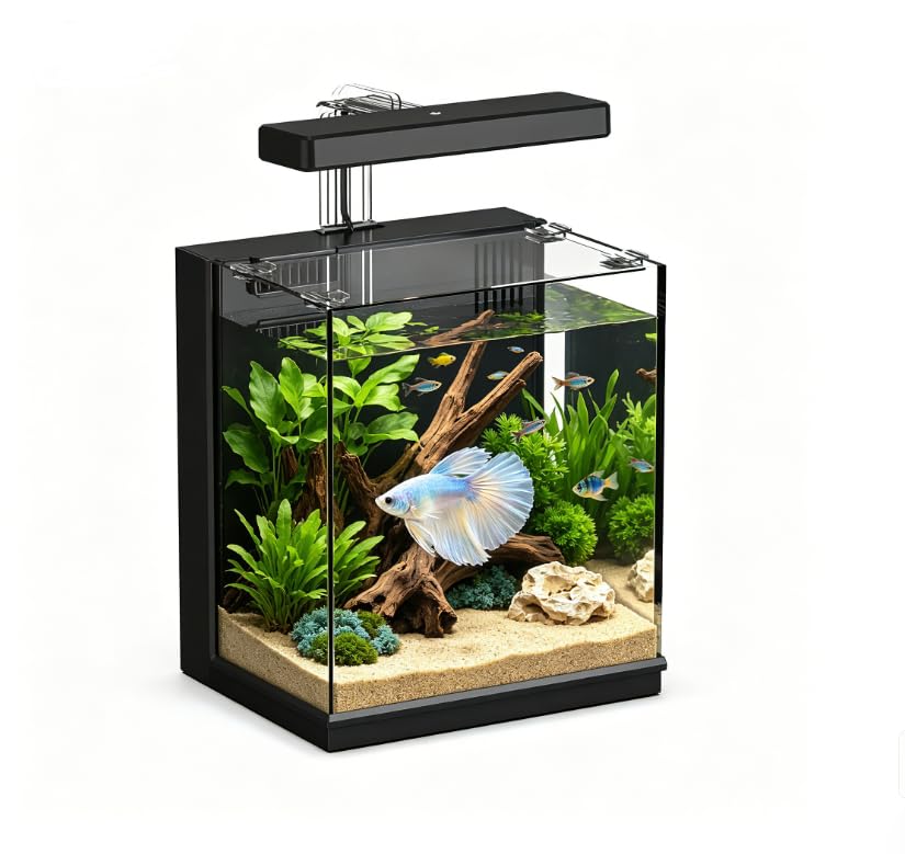AQUASMITH Betta Fish Tank, 2 Gallon Aquarium Kit | All-in-One, Filtration & LED 