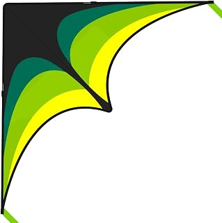 Delta Kite for Kids Ages 4-12, Extremely Easy to Fly Beach Kites for Adults | Best Kite for Beginners, 63"*30"Large Single Line Delta Kites for Fun Outdoor Activities with 300ft String Handle