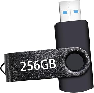 USB Flash Drive 256GB for PC/Laptop, USB Stick 256GB with Keychain | Portable Thumb Drive: Memory Stick, Large Capacity USB Drive, High-Speed USB 2.0 Data Storage Flash Drive for PC/Laptop