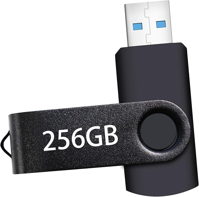 USB Flash Drive 256GB for PC/Laptop, USB Stick 256GB with Keychain | Portable Th