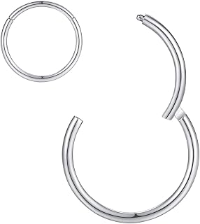ORANGELOVE Hypoallergenic Nose Rings 20G 18G 16G 14G 12G 10G 8G 316l Surgical Steel Septum Jewelry Hinged Segment Ring Body Piercing Nose Hoop Lip Rings Nose Helix Cartilage Rook Earrings
