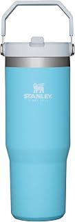 Stanley IceFlow Flip Straw Tumbler with Handle 30 oz | Twist On Lid and Flip Up Straw | Leak Resistant Water Bottle | Insulated Stainless Steel |BPA-Free | Pool