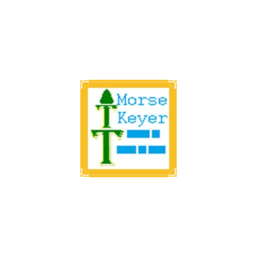 Morse Keyer, a complete Morse code generator and translator