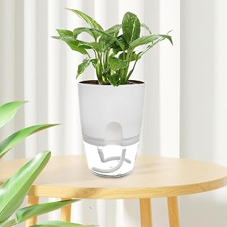 1 x Clear Double Layer Self Watering Plant Flower Pot Home Decoration