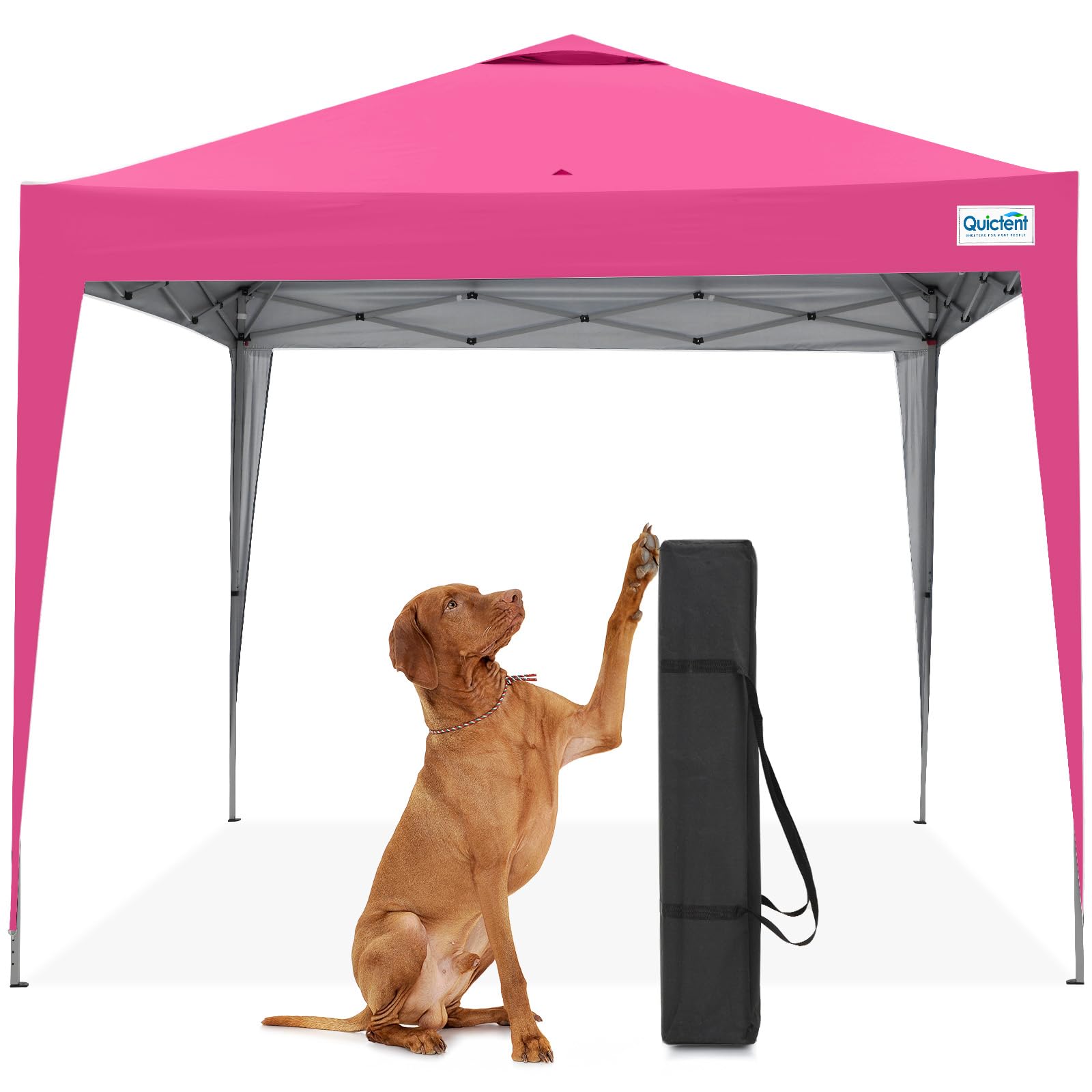 Quictent 10x10 Pop Up Canopy Tent Without Sidewall | Instant Setup Gazebo for 1 