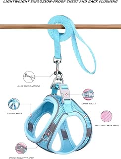 Reflective Dog Harness, Breathable Mesh Dog Harness, 5ft Tow Rope Soft Padded Harness for Small Medium Dogs and Cats, Machine Washable, 2XS, Black