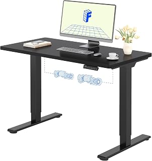 FLEXISPOT Desk Adjustable Height 120 x 60 cm, 2 Motors, Single Top 25 mm, Memory & Height Display, Ergonomic with Cable Management, Undershelf Shelf, Hooks and Cable Clips