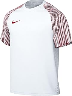 Nike M Nk DF Academy JSY SS Men's T-Shirt