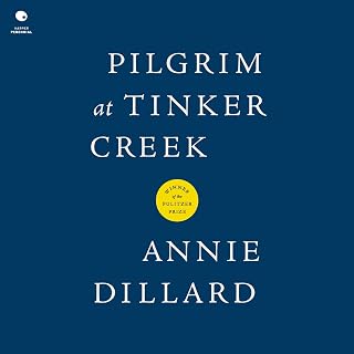 Pilgrim at Tinker Creek