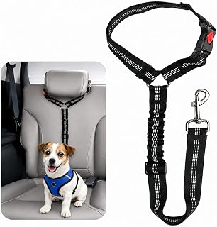 1 x Retractable Elastic Car Belt Leash - Adjustable Vehicle Travel Safety Fastener, Hands Free Dog Restraint for Back Seat, Black