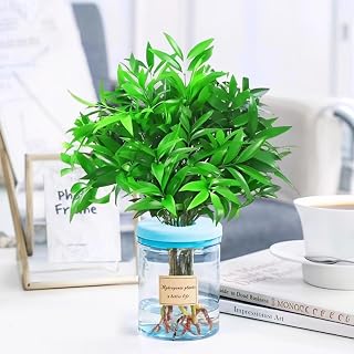 Plant Propagation Station, Hydroponic Glass Vase for Office Home Garden Decoration (Blue)