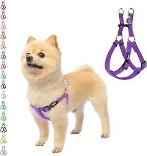 PUPTECK No Pull Dog Harness Small Sized Step-in Adjustable Puppy Vest