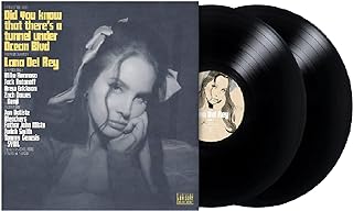 Did you know that there’s a tunnel under Ocean Blvd[2 LP]