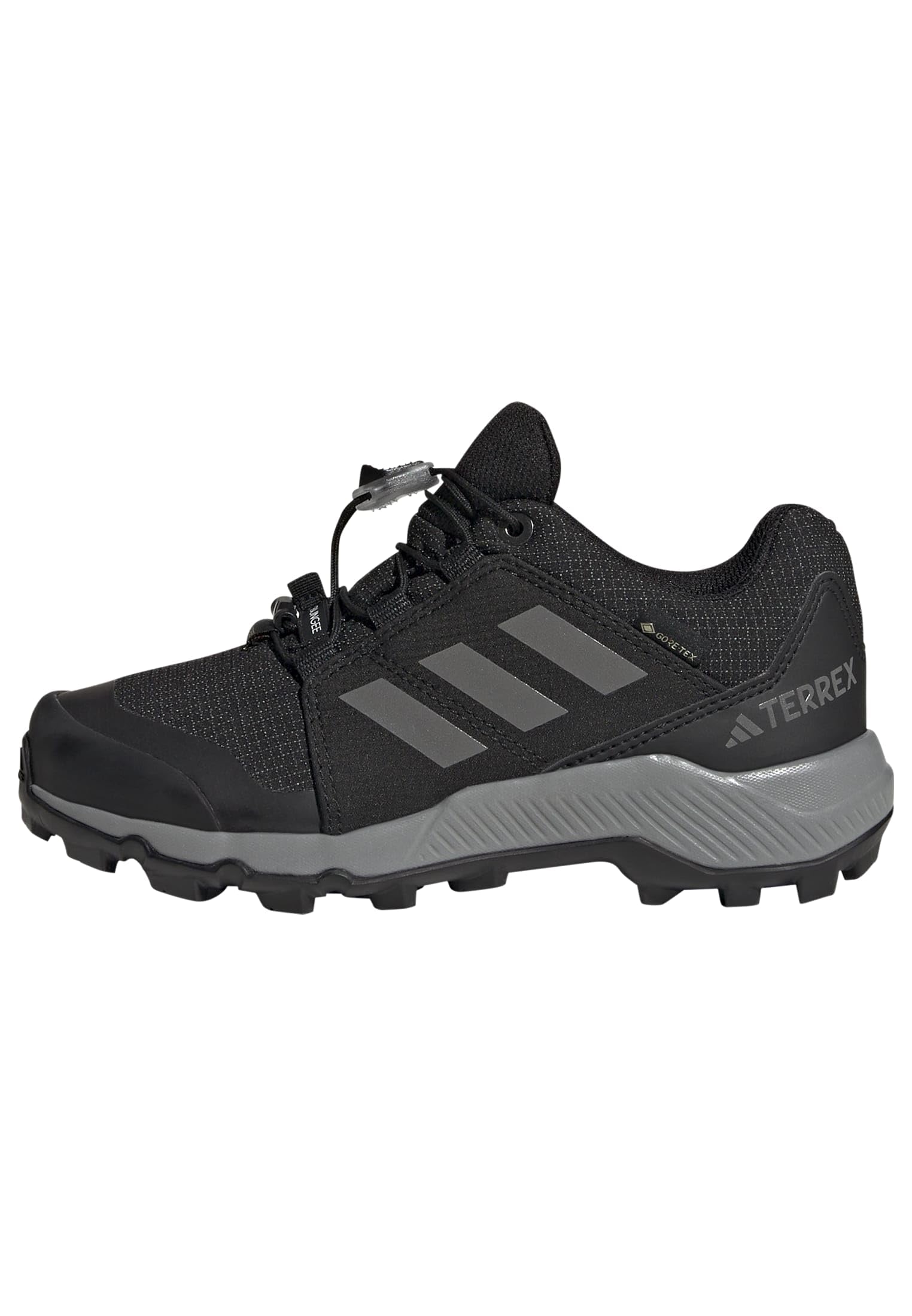 adidas Terrex Gore-TEX Hiking Shoes