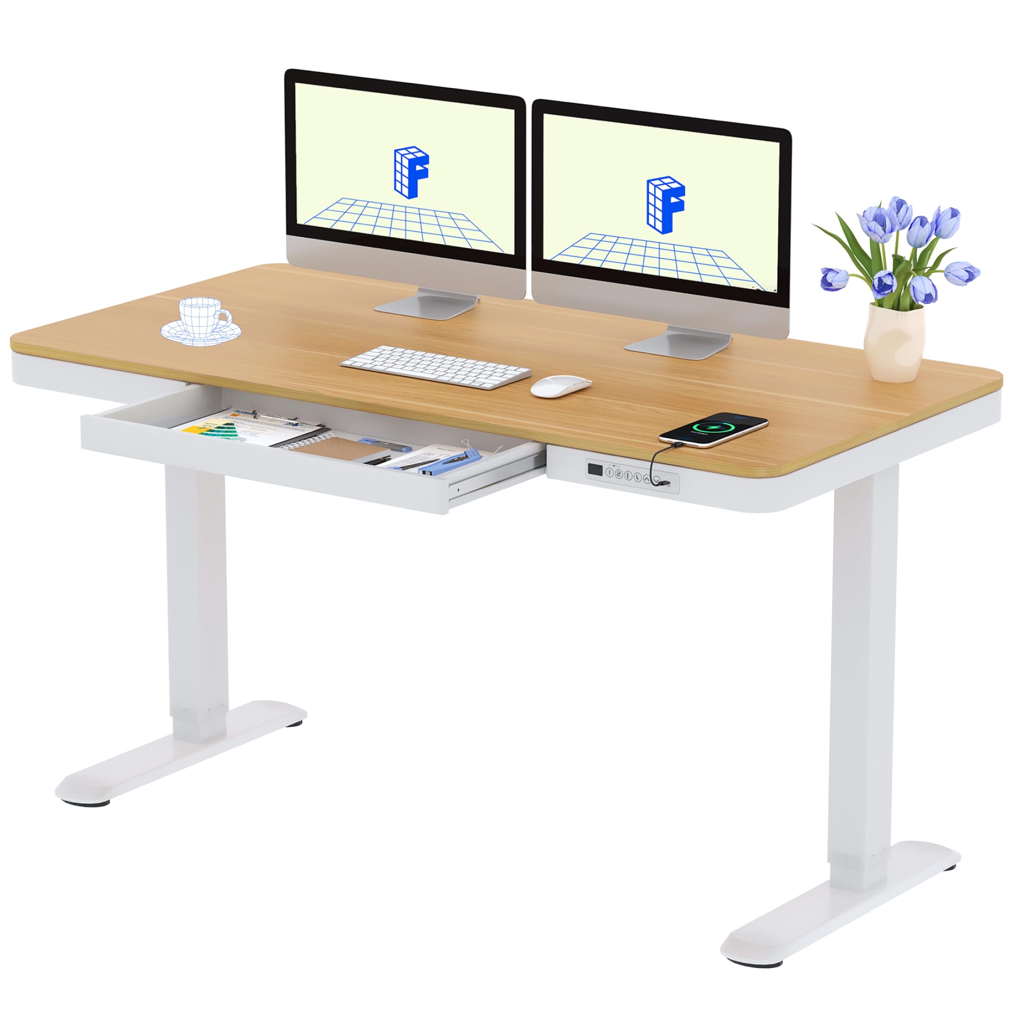 FLEXISPOT Desk Adjustable Height 140 x 70 cm, Desk with Electric Drawers, LED Di