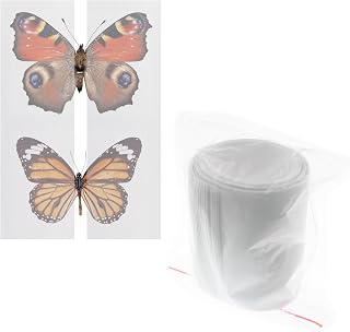 Lind Kitchen 1 Pack 420 x 70mm x 20 Making Insect Specimen Tools Kit Wings Pressing Paper Insect Pins Insect Pinning Board Insect Display Case Insect Collection for Bug Hobbyist Biology Projects
