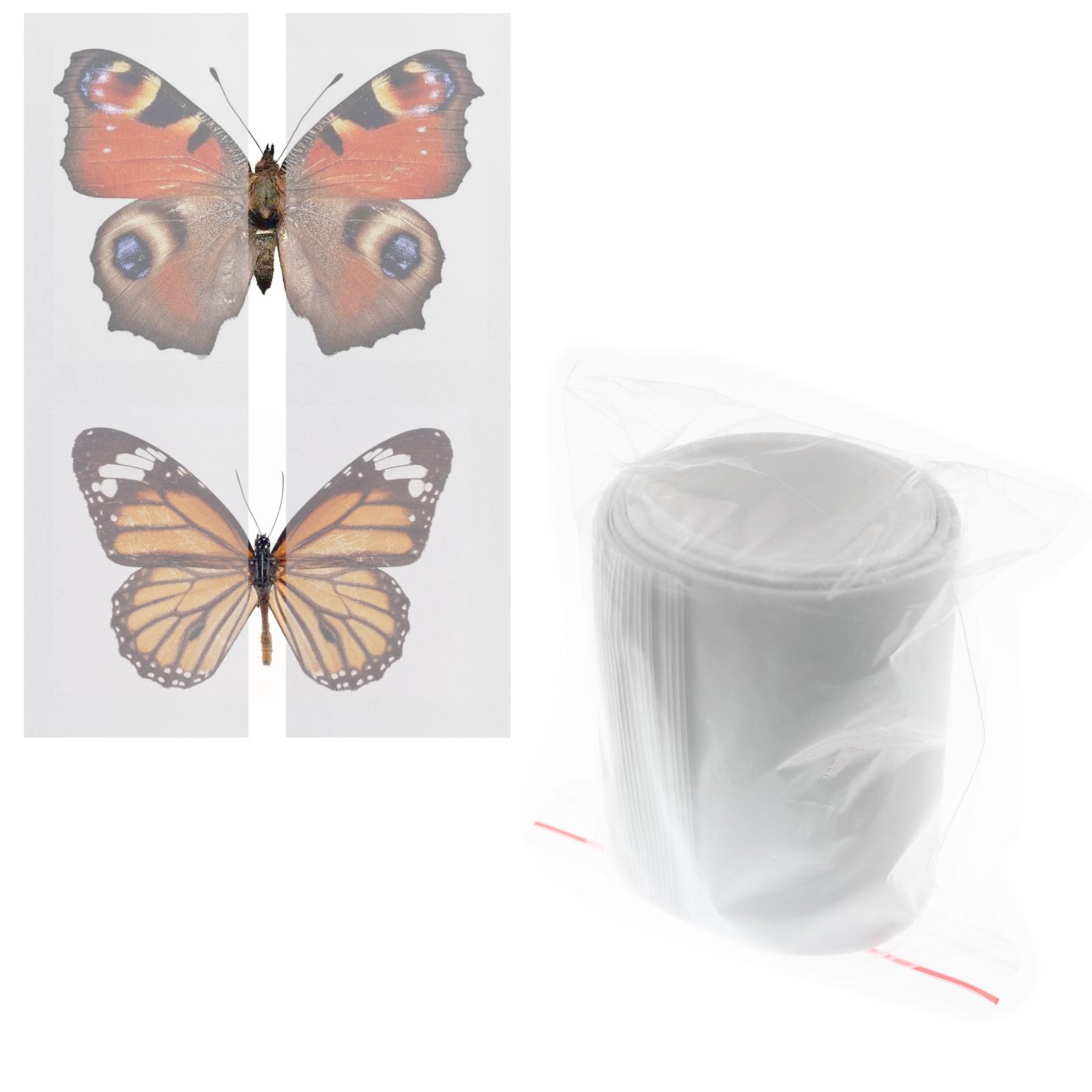 Lind Kitchen 1 Pack 420 x 70mm x 20 Making Insect Specimen Tools Kit Wings Press