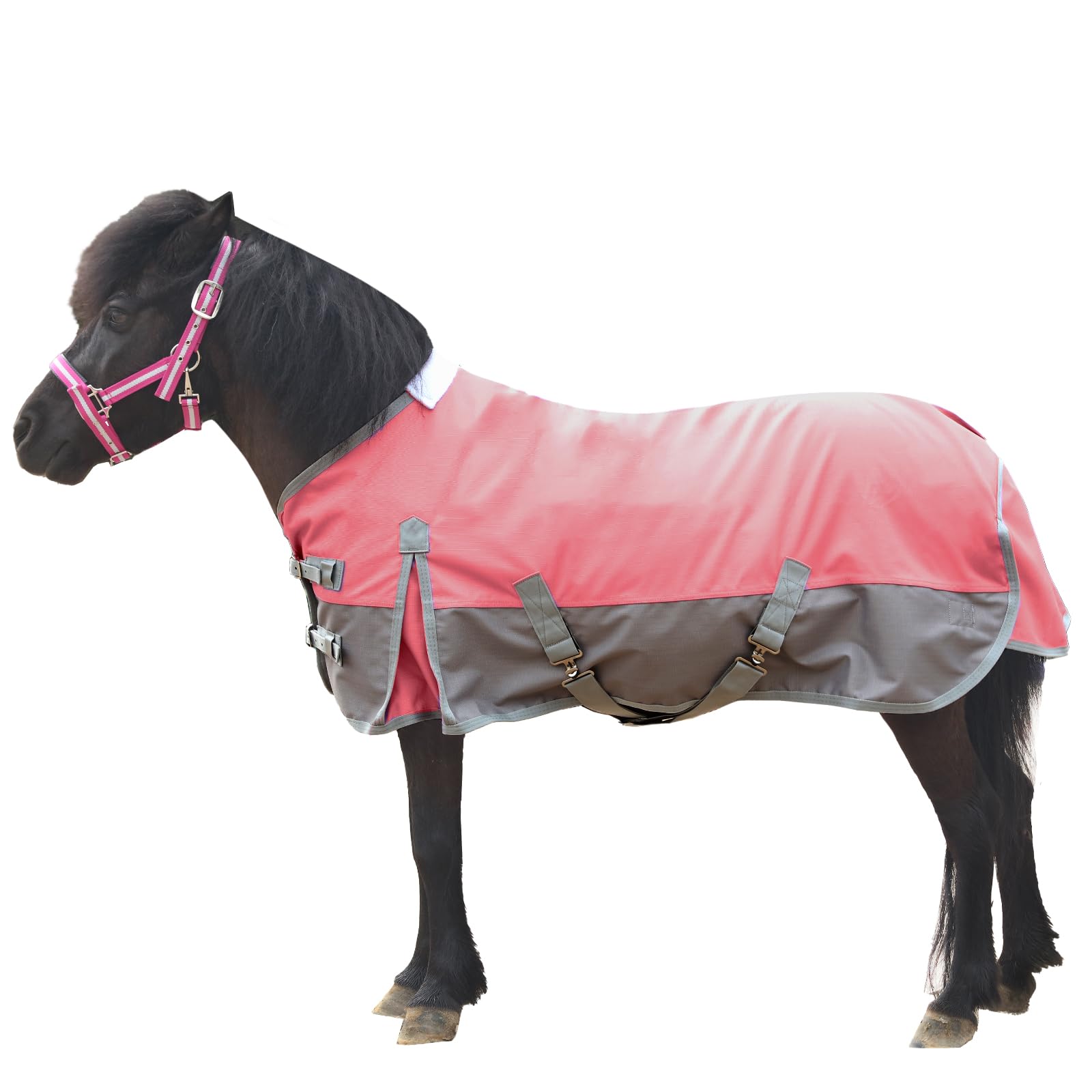 Gallopoff 1200D Mini Horse/Pony Blanket 0g No-Fill Waterproof Turnout Sheet | 12