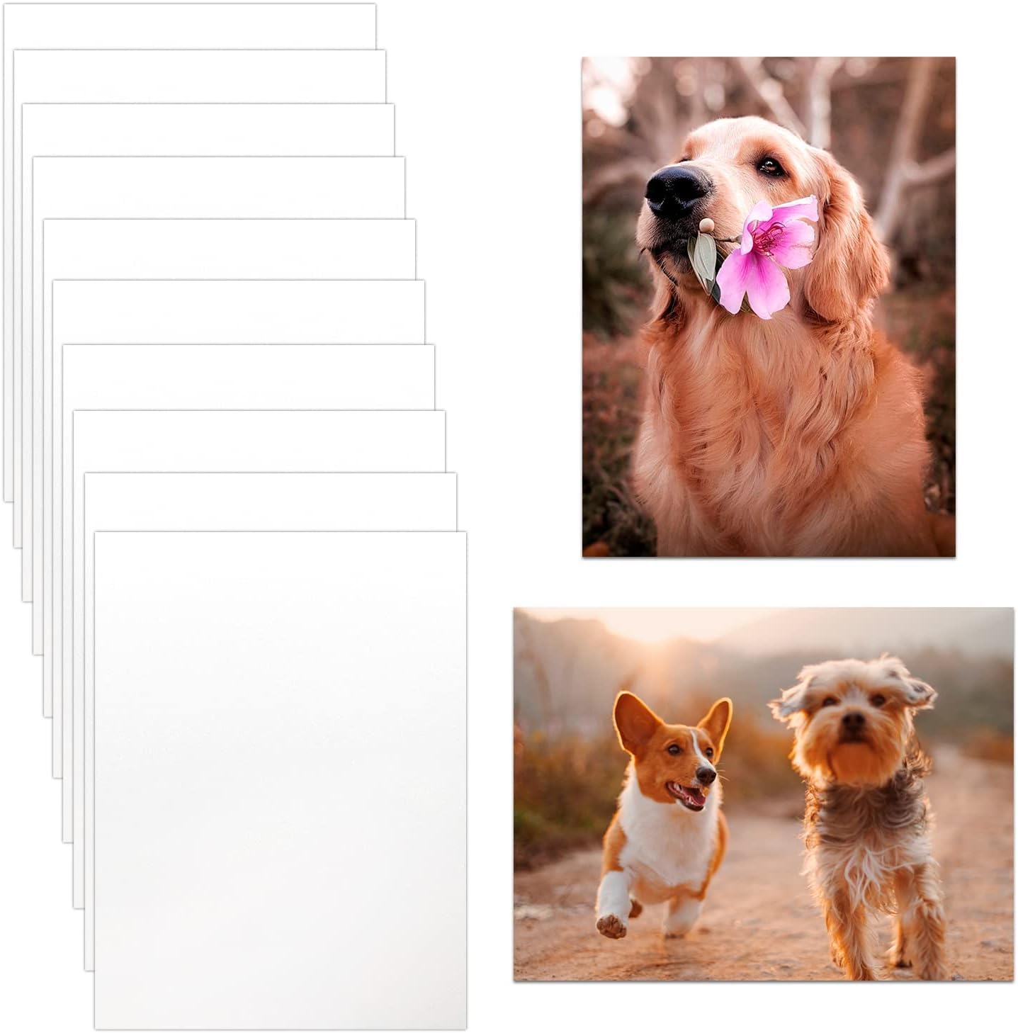CHONOVO 10 Pack Sublimation Metal Blanks, 8x10 Photo Sign Blanks | 0.45mm Thicke