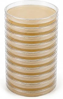 EZ BioResearch Malt Extract Agar (MEA) Plates, 10 Prepoured Plates | For Mushroom Cultivation