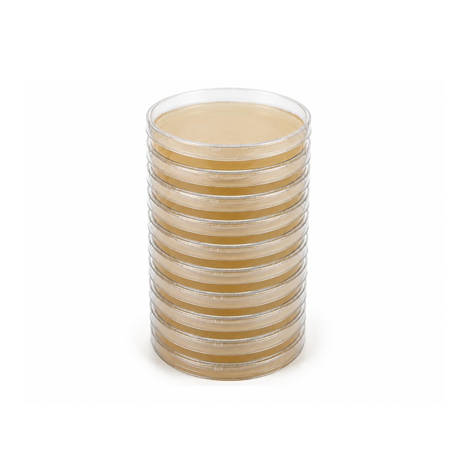 EZ BioResearch Malt Extract Agar (MEA) Plates, 10 Prepoured Plates | For Mushroo
