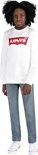 Levi's Batwing Crewneck Sweatshirt Boy