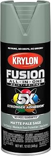 Krylon Fusion All-In-One 12 Oz. Matte Spray Paint, Pale Sage - 1 Each