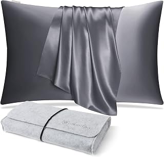DISANGNI 100% Natural Mulberry Silk Pillow case for Hair and Skin with Hidden Zipper 22 Momme Both Sides Real Silk Pillow Case (1pc Queen Size 20" x30", Dark Gray)