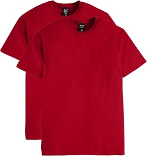 Hanes Nano Premium Cotton Men's T-Shirt (Pack of 2)