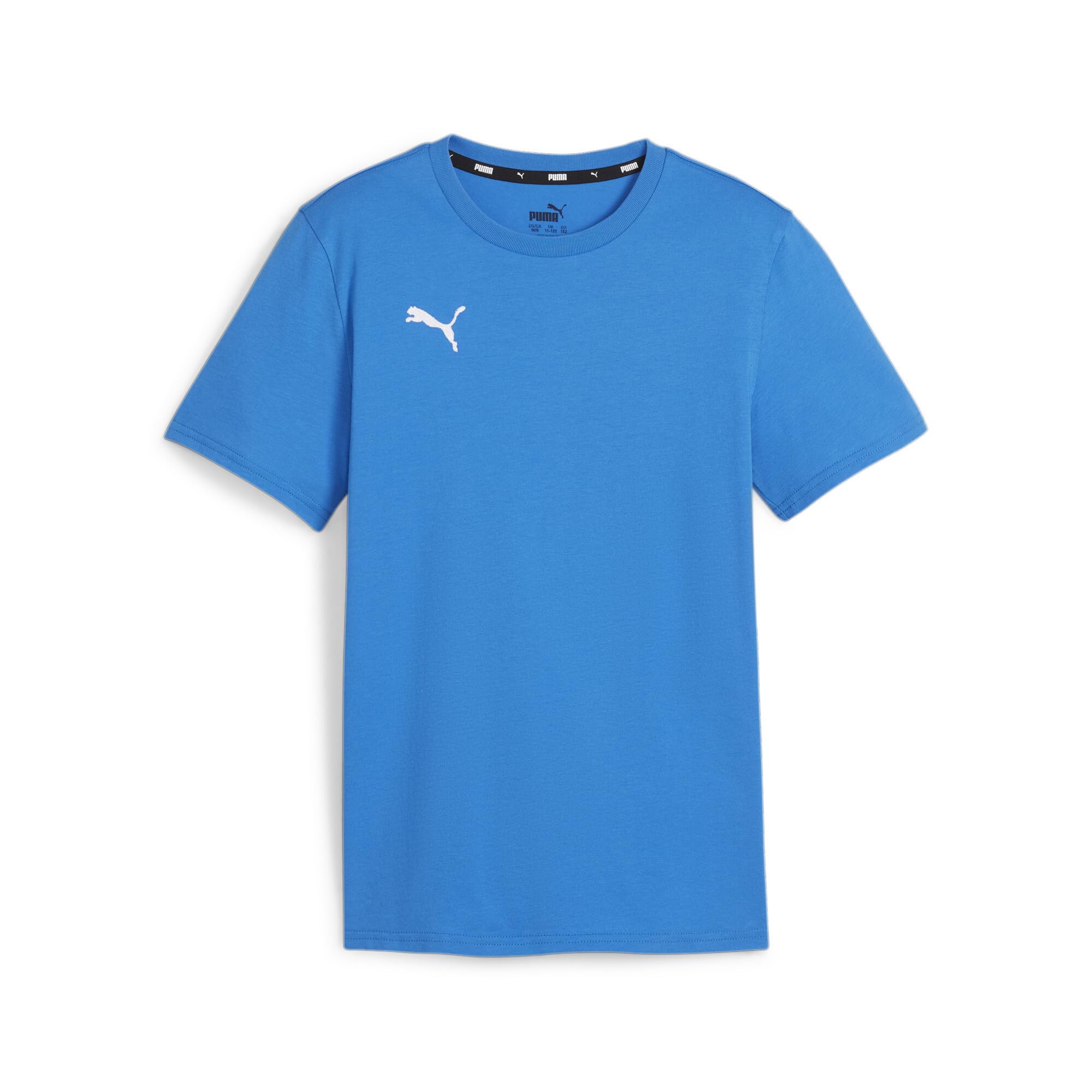 Puma Teamgoal Casuals Tee Jr Tee Children and Youth (Pack of 1)