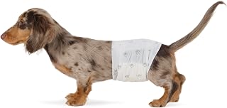 Amazon Basics Disposable Male Dog Diapers, S, Pack of 50, White