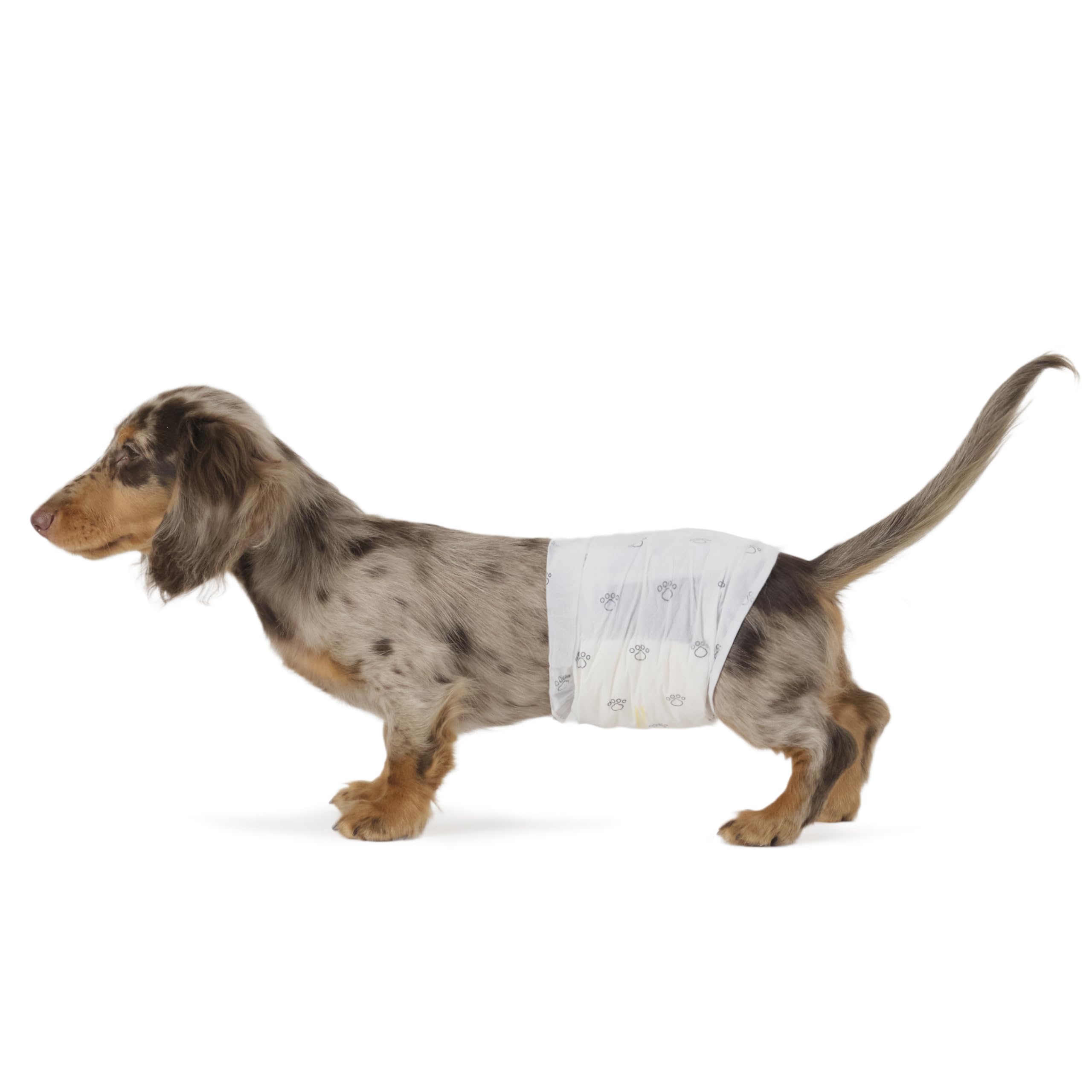 Amazon Basics Disposable Male Dog Diapers, S, Pack of 50, White