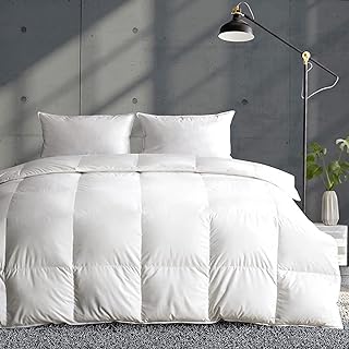 APSMILE Lightweight Duvet Insert Queen,Summer Down Feather Fibers Comforter
