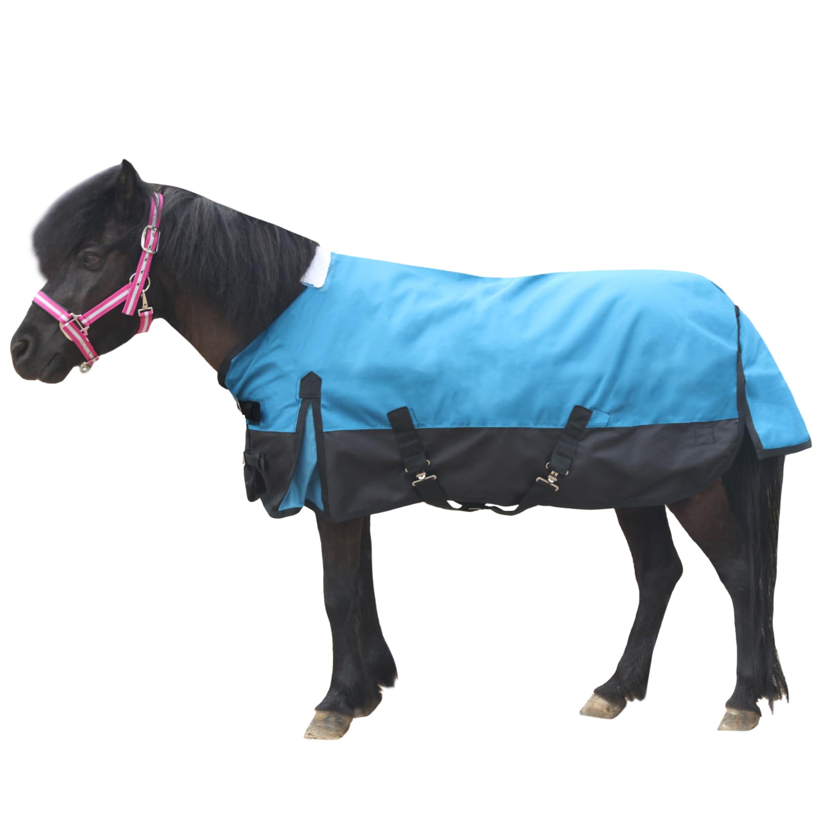 Gallopoff 1200D Mini Horse/Pony Blanket 0g No-Fill Waterproof Turnout Sheet | 12