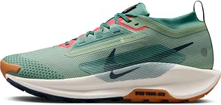 Nike Pegasus Trail 5 Gore-Tex Men's Trainers