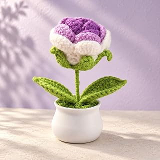 Yarn Potted Plant, Mini Knitted Crochet Plant Decor for Home Office, Cute Desk and Shelf Decoration, Small Gift for Lovers