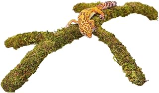 Jinymral Leopard Gecko Tank Accessories, Adjustable Climbing Toys Supplies, Terrarium Habitat Decor
