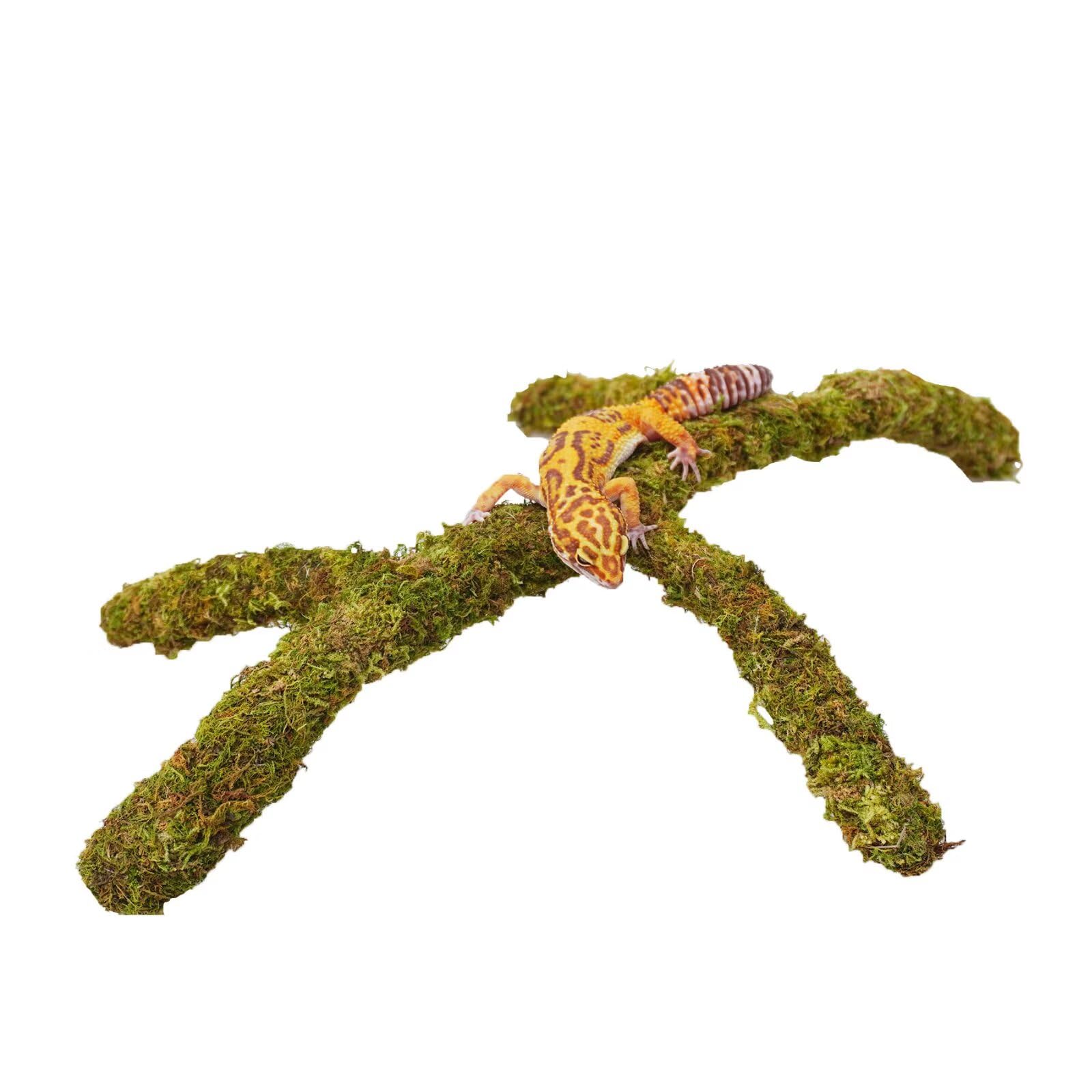 Jinymral Leopard Gecko Tank Accessories, Adjustable Climbing Toys Supplies, Terr