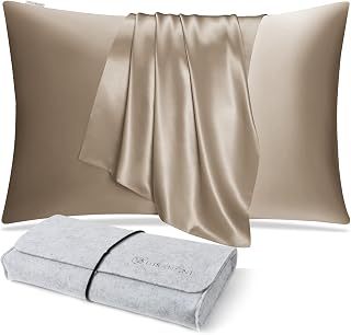 DISANGNI 100% Natural Mulberry Silk Pillow case for Hair and Skin with Hidden Zipper 22 Momme Both Sides Real Silk Pillow Case (1pc Queen Size 20" x30", Taupe)
