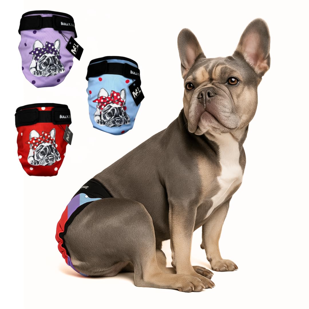 French Bulldog Panties Set - Reusable Dog Diapers without Cane Hole, Handmade an