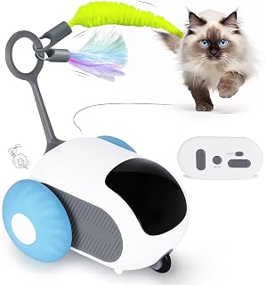 2-in-1 Remote Control/Automatic Interactive Cat Toy for Indoor Cats Dogs
