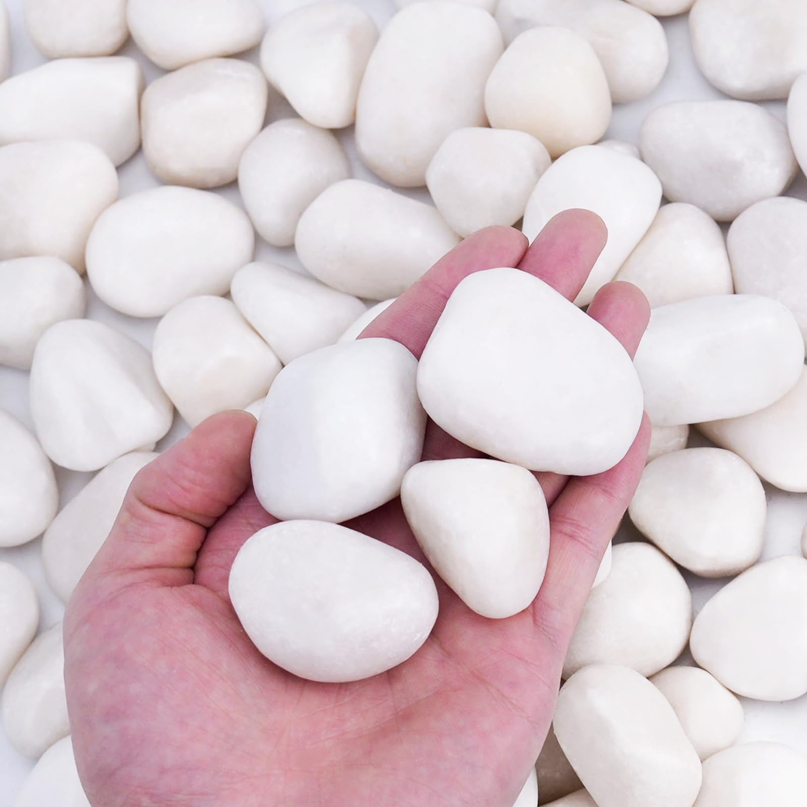 Pulovin 15 lbs White Rocks for Landscaping, Vases, Plants Indoor, 1-2 Inch | Lar