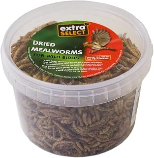 Extra Select Dried Mealworms for Wild Birds, 500ml Bucket | Single-ingredient dried mealworms for garden birds in a compact 500ml bucket.