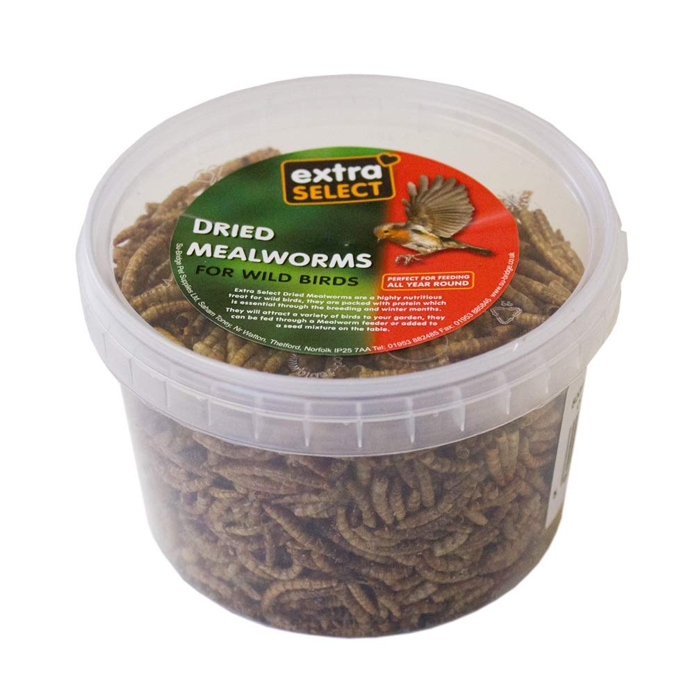 Extra Select Dried Mealworms for Wild Birds, 500ml Bucket | Single-ingredient dr