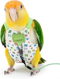 Bird Harness Leash Set Adjustable Vest (Green, L)