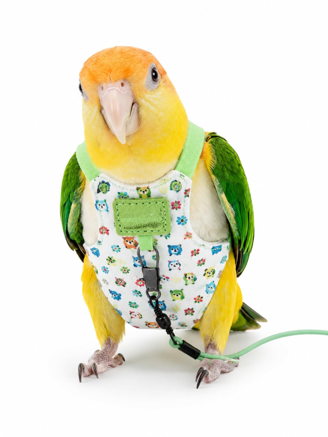 Bird Harness Leash Set Adjustable Vest (Green, L)