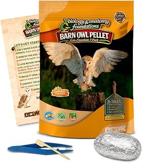 Barn Owl Pellets for Dissection, Solo Essentials Kit, Large 1-Pack by OBDK | Single-student set, forceps, picks and bone chart included