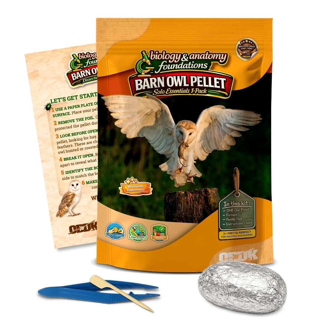 Barn Owl Pellets for Dissection, Solo Essentials Kit, Large 1-Pack by OBDK | Sin