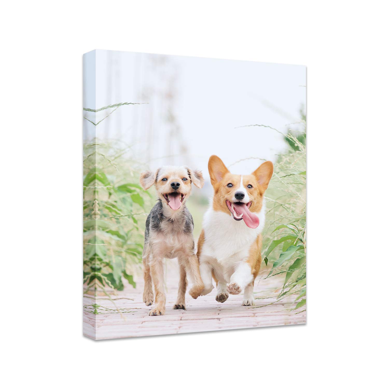 Personalized Photo to Canvas Print - Canvas Prints With Your Photos on Custom Wa