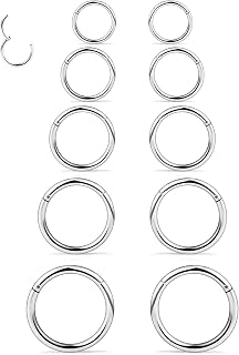 Dyknasz 10PCS 16G Surgical Steel Hinged Clicker Segment Septum Lip Nipple Ring Hoop Cartilage Tragus Helix Sleeper Earrings Piercing Jewelry for Women Men 8mm 10mm 12mm 14mm 16mm